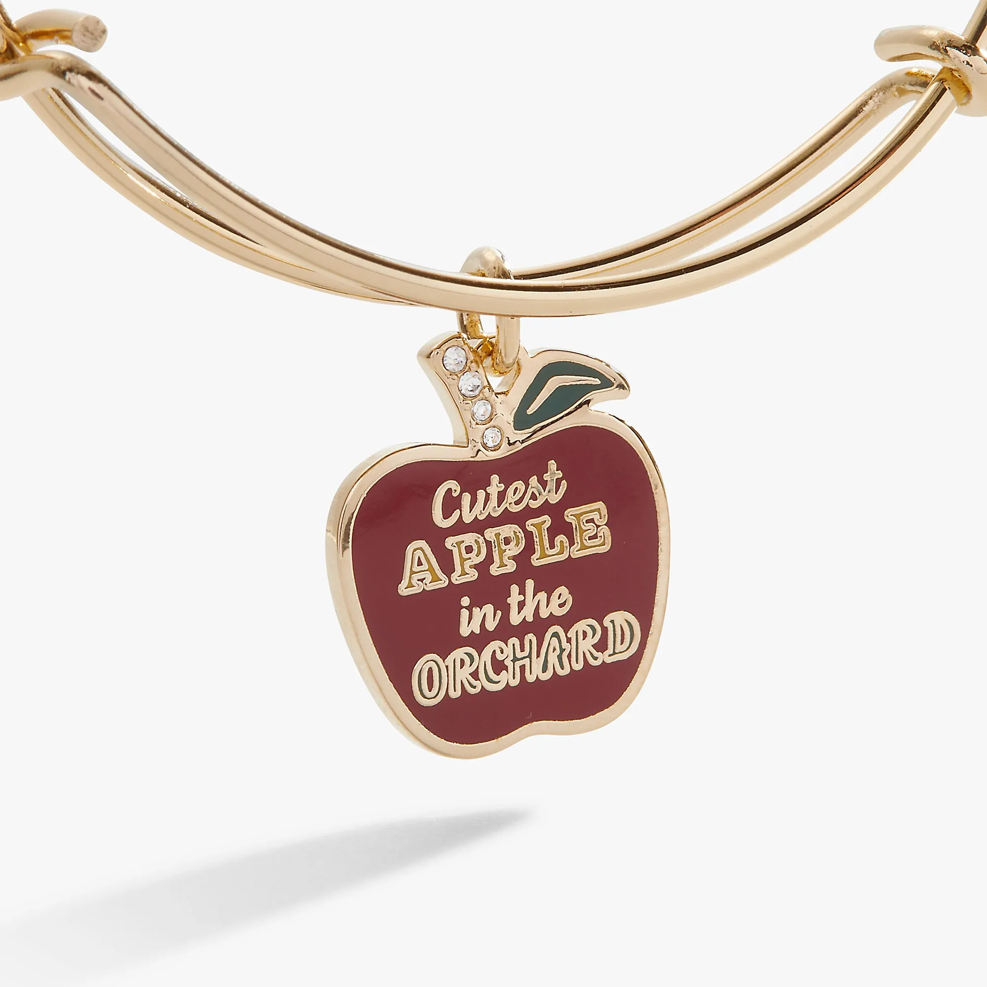 Apple Orchard Charm Bangle