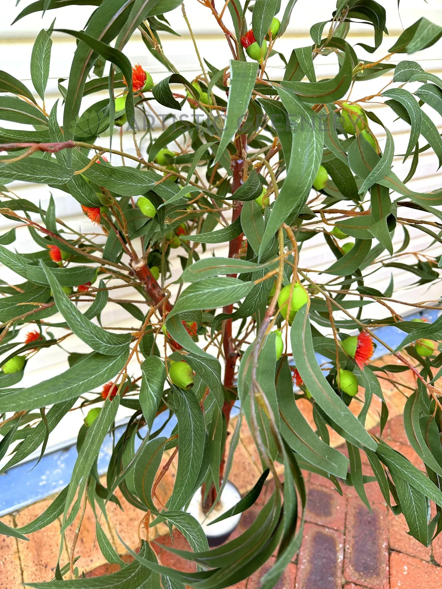 CT008 Gum Blossom Tree 120cm