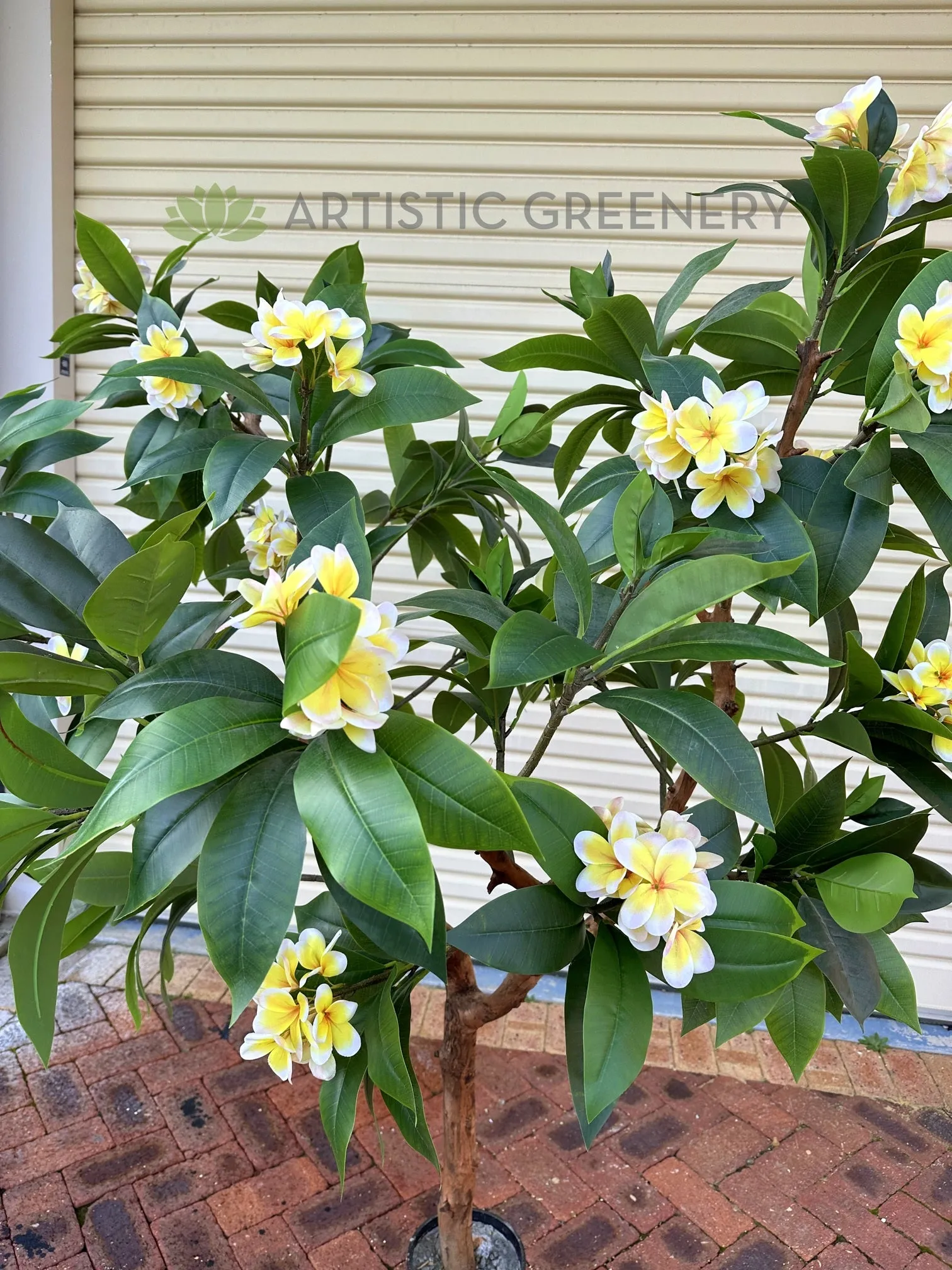 CT009B Frangipani Tree 185cm Tall
