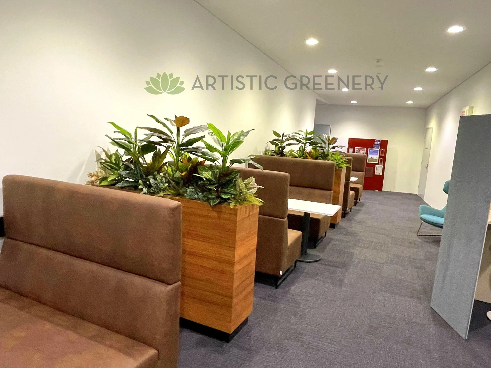 Edith Cowan University (ECU) Joondalup - Building 19 Lobby area- Artificial Plants for Built-in Cabinets / Planters
