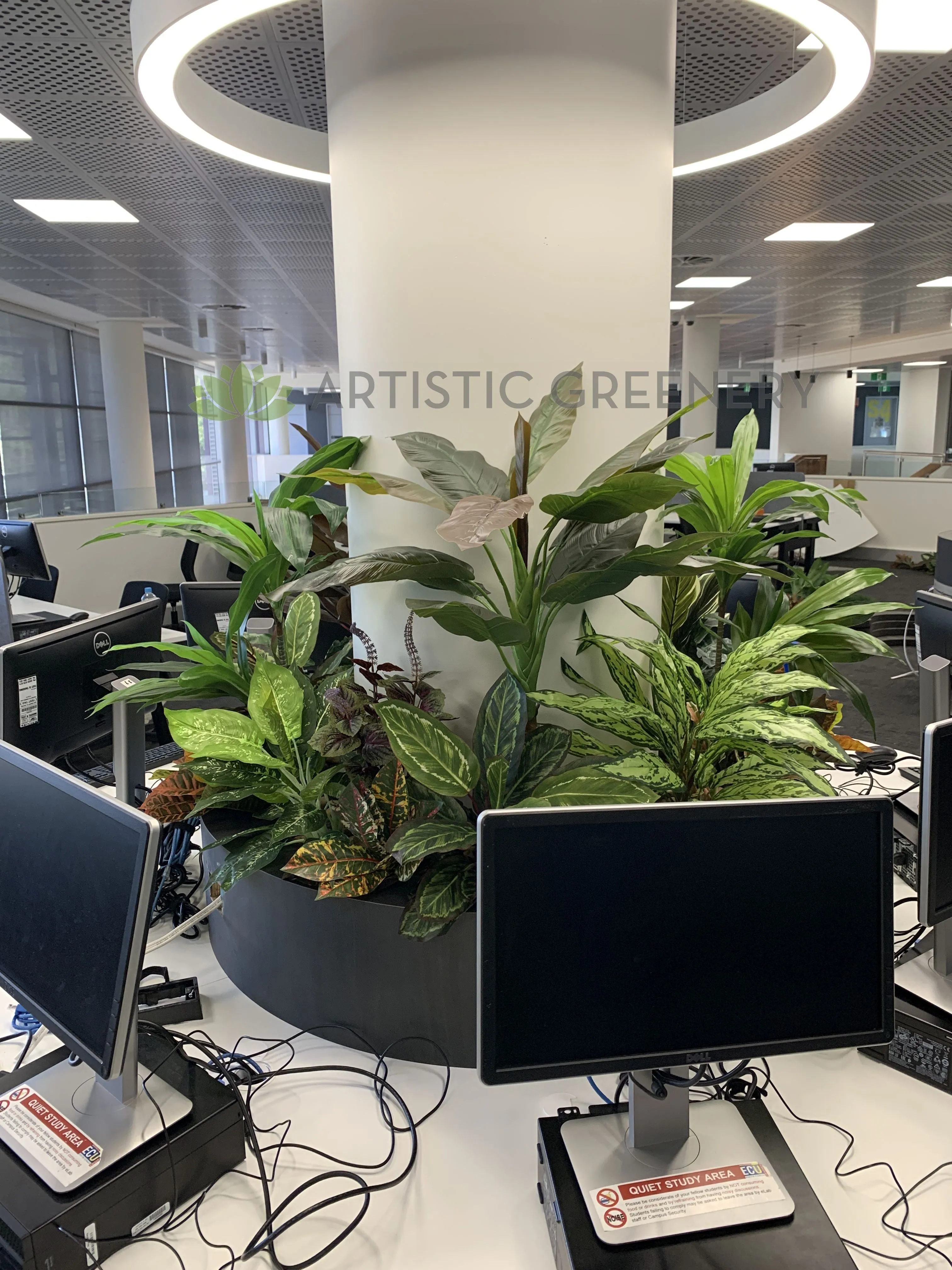 Edith Cowan University (ECU) Joondalup Campus Library - Artificial Plants for Built-in Cabinets / Planters