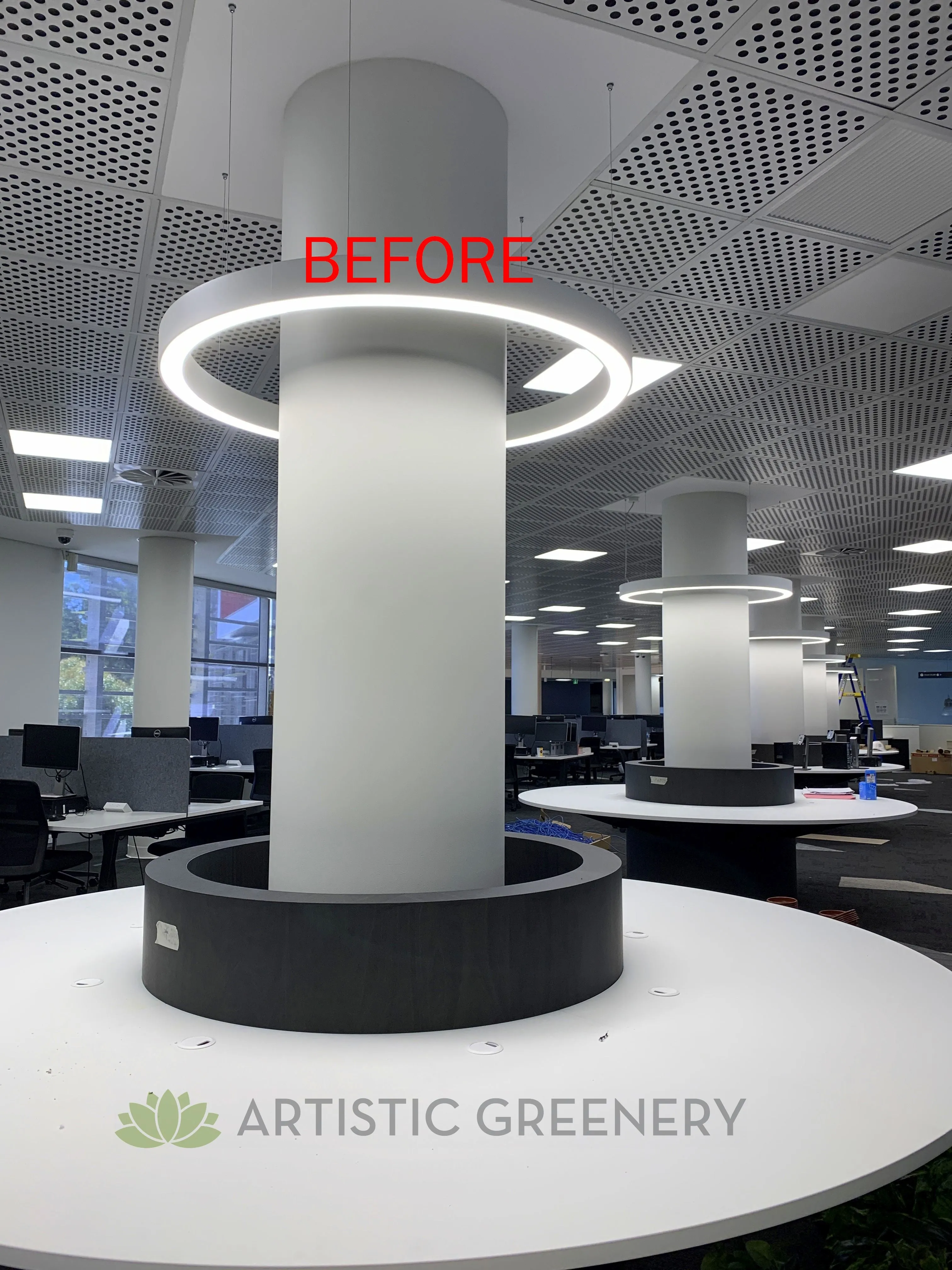 Edith Cowan University (ECU) Joondalup Campus Library - Artificial Plants for Built-in Cabinets / Planters