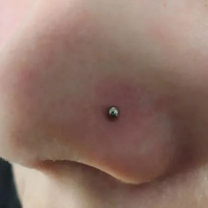 Steel Ball XL Professional Nose Pin