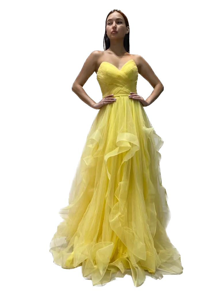 Tulle Princess Gown